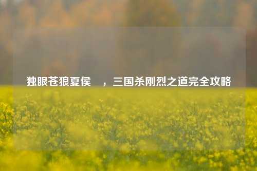 独眼苍狼夏侯惇，三国杀刚烈之道完全攻略
