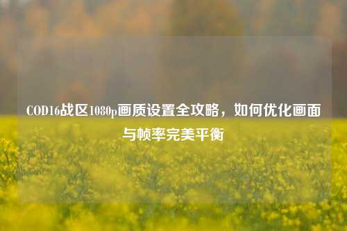 COD16战区1080p画质设置全攻略，如何优化画面与帧率完美平衡