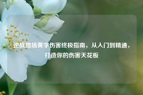 逆战猎场黄字伤害终极指南，从入门到精通，打造你的伤害天花板