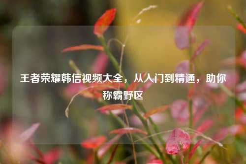 王者荣耀韩信视频大全，从入门到精通，助你称霸野区