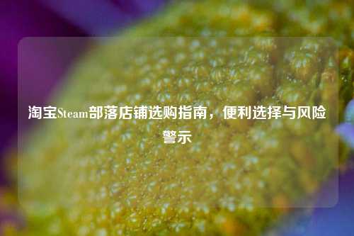 淘宝Steam部落店铺选购指南，便利选择与风险警示