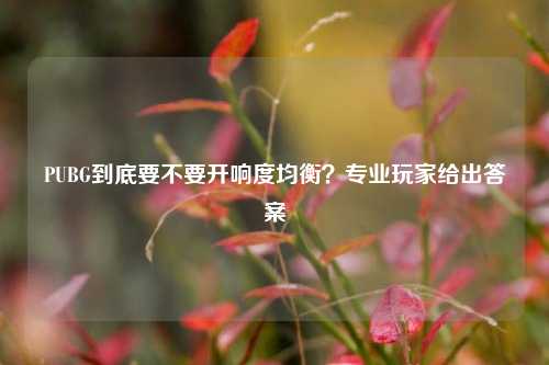 PUBG到底要不要开响度均衡？专业玩家给出答案