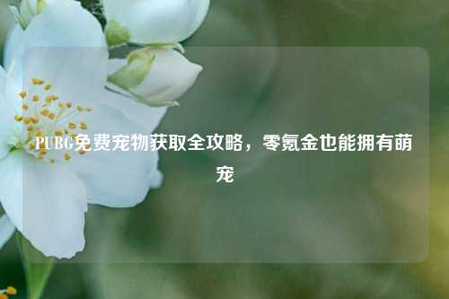 PUBG免费宠物获取全攻略，零氪金也能拥有萌宠