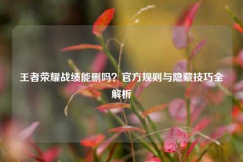 王者荣耀战绩能删吗？官方规则与隐藏技巧全解析