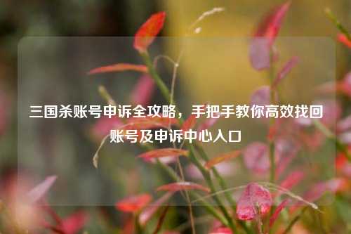 三国杀账号申诉全攻略，手把手教你高效找回账号及申诉中心入口