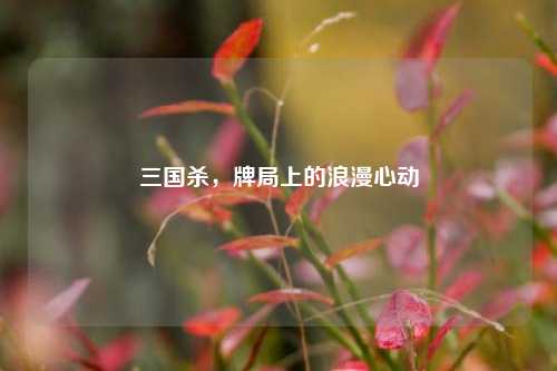 三国杀，牌局上的浪漫心动