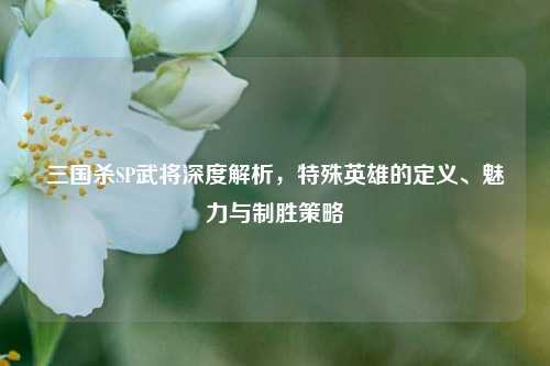 三国杀SP武将深度解析，特殊英雄的定义、魅力与制胜策略