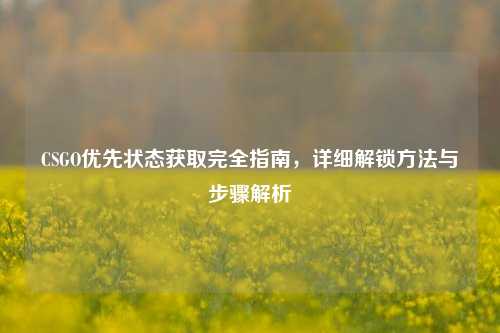 CSGO优先状态获取完全指南，详细解锁方法与步骤解析