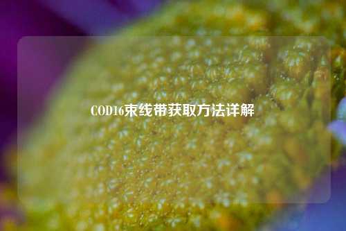COD16束线带获取方法详解
