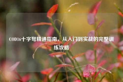 COD16十字弩精通指南，从入门到实战的完整训练攻略
