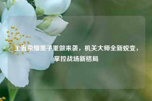 王者荣耀墨子重做来袭，机关大师全新蜕变，掌控战场新格局
