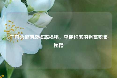三国杀银两袋概率揭秘，平民玩家的财富积累秘籍