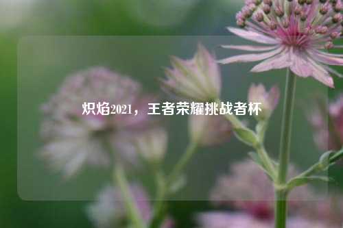 炽焰2021，王者荣耀挑战者杯