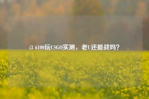 i3 6100玩CSGO实测，老U还能战吗？