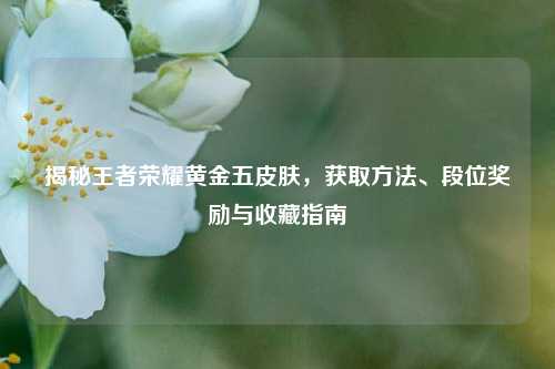 揭秘王者荣耀黄金五皮肤，获取方法、段位奖励与收藏指南