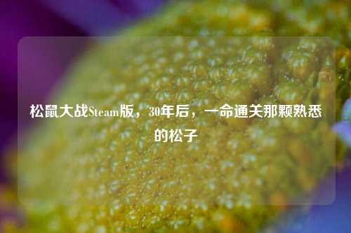 松鼠大战Steam版，30年后，一命通关那颗熟悉的松子