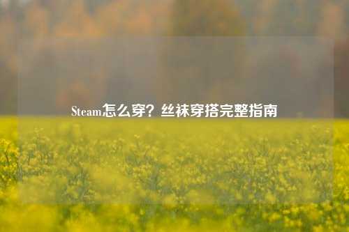 Steam怎么穿？丝袜穿搭完整指南