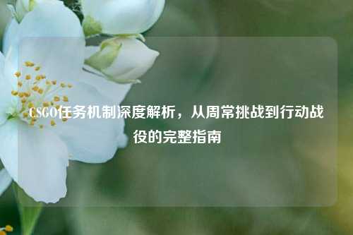CSGO任务机制深度解析，从周常挑战到行动战役的完整指南