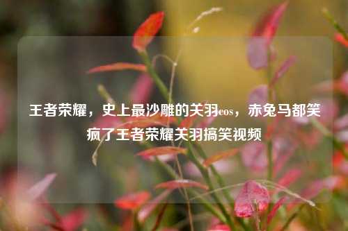 王者荣耀，史上最沙雕的关羽cos，赤兔马都笑疯了王者荣耀关羽搞笑视频
