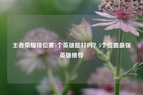 王者荣耀排位赛5个英雄能打吗？5个位置最强英雄推荐