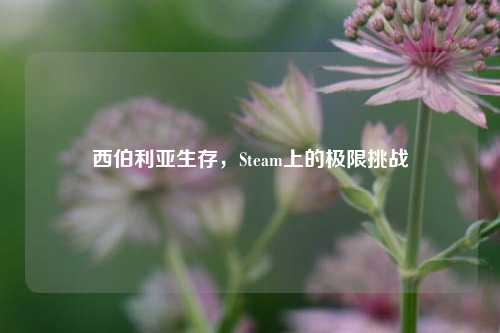 西伯利亚生存，Steam上的极限挑战
