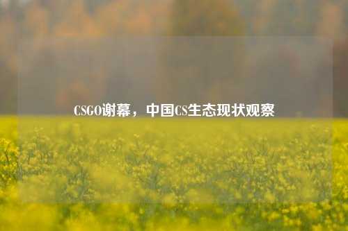 CSGO谢幕，中国CS生态现状观察