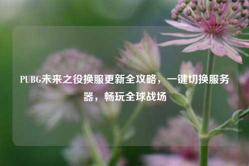 PUBG未来之役换服更新全攻略，一键切换服务器，畅玩全球战场