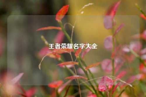 王者荣耀名字大全