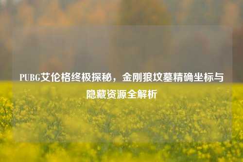 PUBG艾伦格终极探秘，金刚狼坟墓精确坐标与隐藏资源全解析