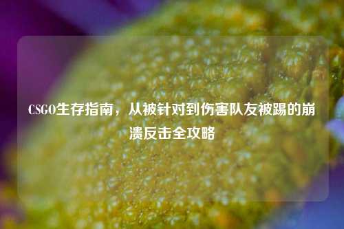 CSGO生存指南，从被针对到伤害队友被踢的崩溃反击全攻略