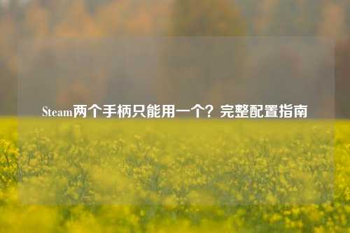 Steam两个手柄只能用一个？完整配置指南