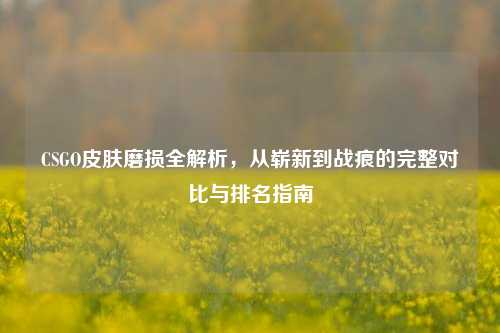 CSGO皮肤磨损全解析，从崭新到战痕的完整对比与排名指南