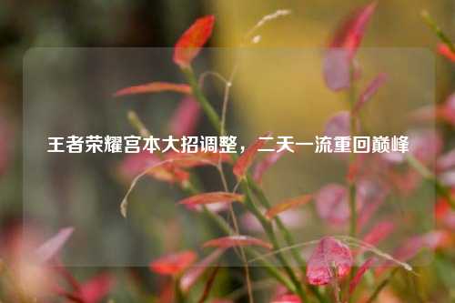 王者荣耀宫本大招调整，二天一流重回巅峰
