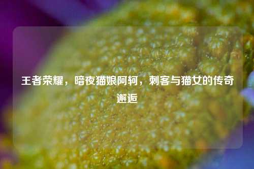 王者荣耀，暗夜猫娘阿轲，刺客与猫女的传奇邂逅