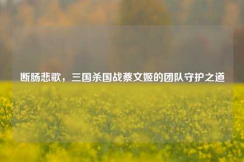 断肠悲歌，三国杀国战蔡文姬的团队守护之道