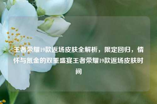 王者荣耀19款返场皮肤全解析，限定回归，情怀与氪金的双重盛宴王者荣耀19款返场皮肤时间