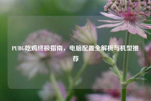 PUBG吃鸡终极指南，电脑配置全解析与机型推荐