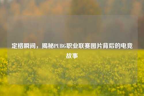 定格瞬间，揭秘PUBG职业联赛图片背后的电竞故事