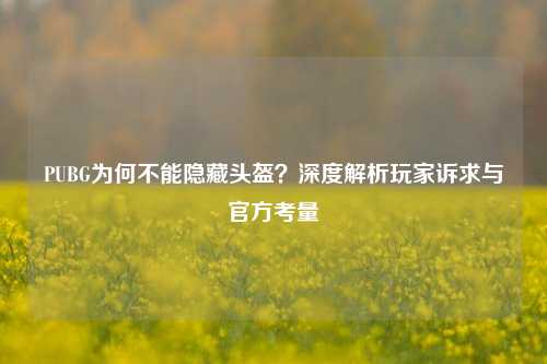PUBG为何不能隐藏头盔？深度解析玩家诉求与官方考量
