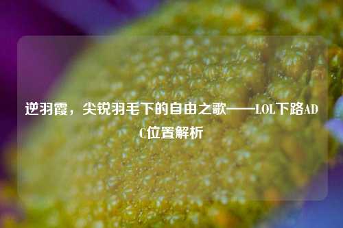 逆羽霞，尖锐羽毛下的自由之歌——LOL下路ADC位置解析