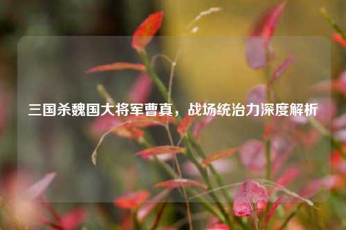 三国杀魏国大将军曹真，战场统治力深度解析