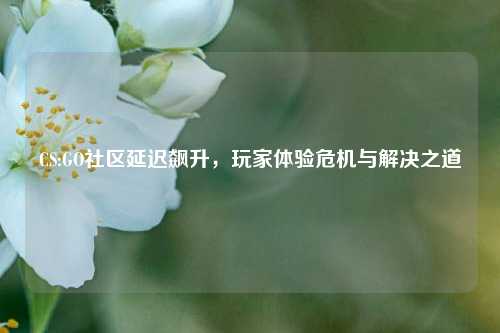 CS:GO社区延迟飙升，玩家体验危机与解决之道