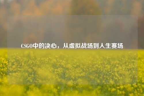 CSGO中的决心，从虚拟战场到人生赛场