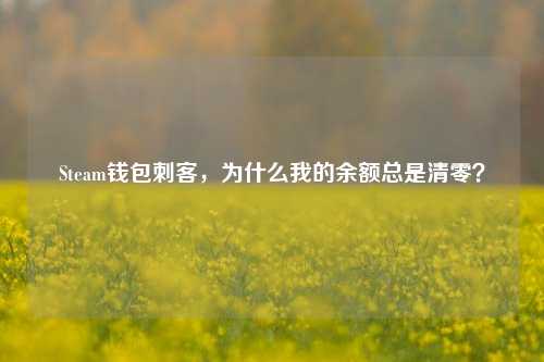Steam钱包刺客，为什么我的余额总是清零？