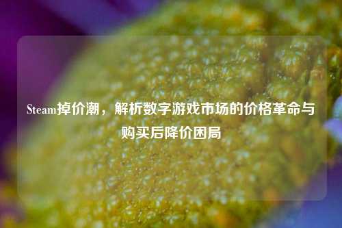 Steam掉价潮，解析数字游戏市场的价格革命与购买后降价困局