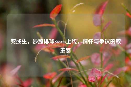 死或生，沙滩排球Steam上线，情怀与争议的双重奏