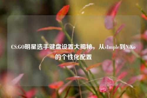 CS:GO明星选手键盘设置大揭秘，从s1mple到NiKo的个性化配置