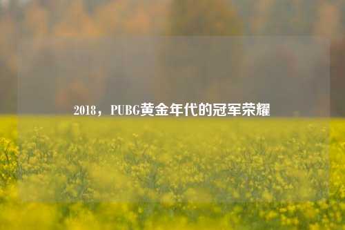 2018，PUBG黄金年代的冠军荣耀