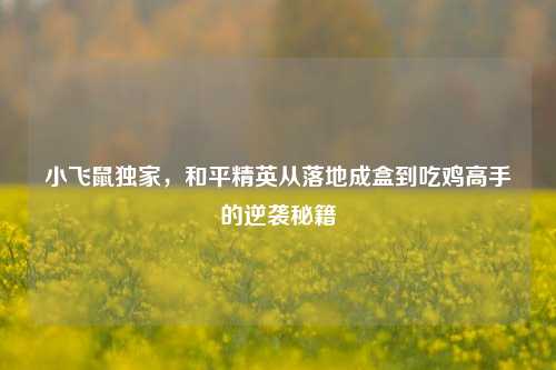 小飞鼠独家，和平精英从落地成盒到吃鸡高手的逆袭秘籍