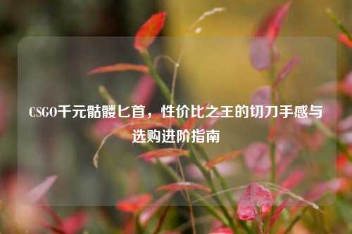 CSGO千元骷髅匕首，性价比之王的切刀手感与选购进阶指南